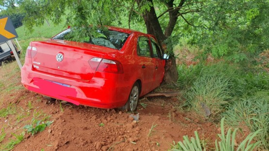 Idoso fica ferido após carro colidir em árvore no Oeste de SC ClicRDC