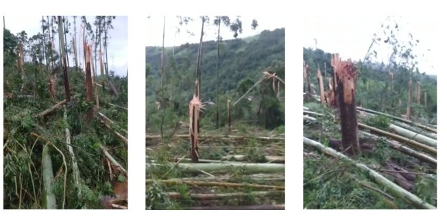 Ajuda Do Radar Meteorol Gico De Chapec Defesa Civil Confirma