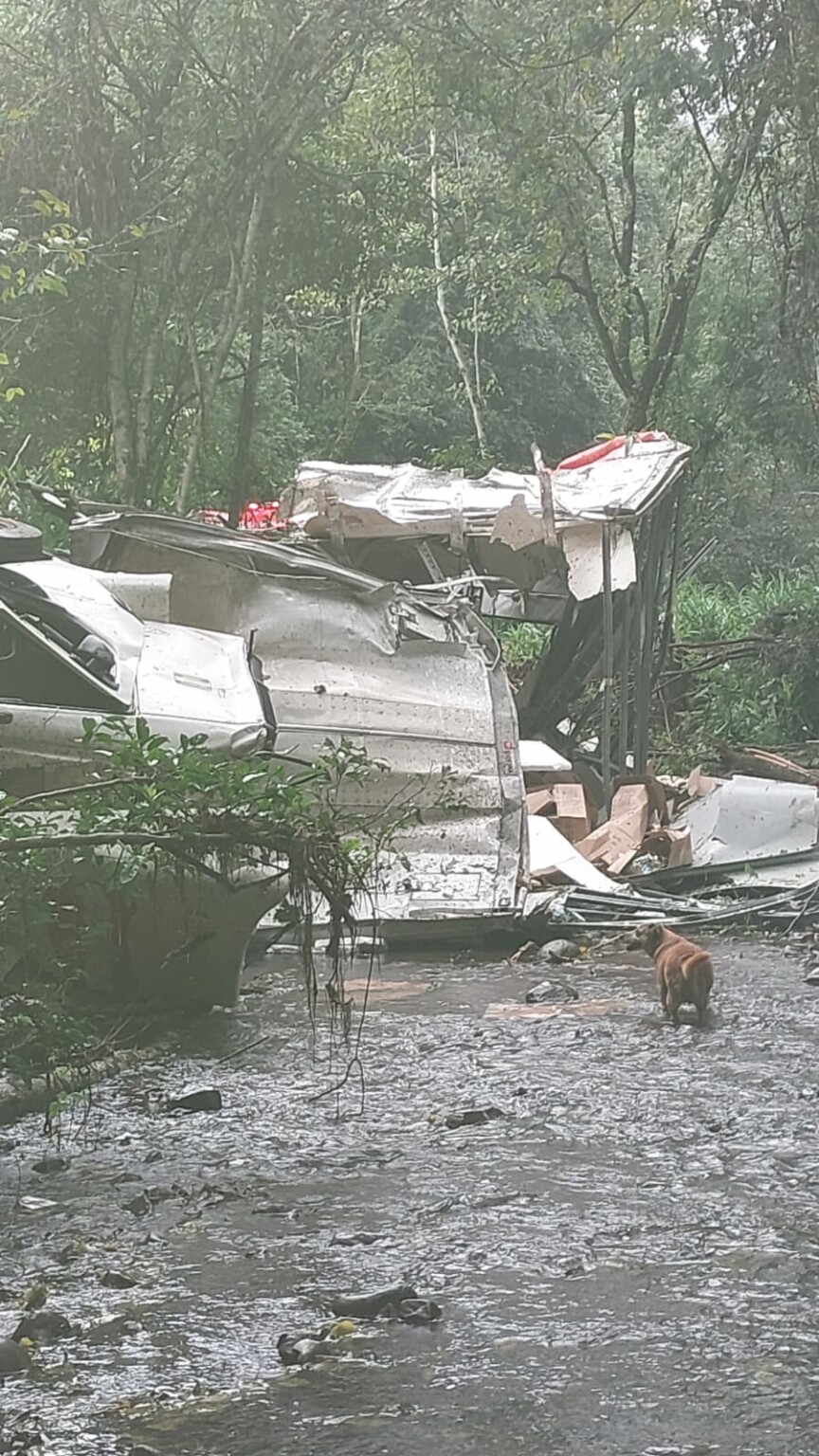 Imagens Caminh O Sai Da Pista E Tomba Em Ribanceira De Metros Entre