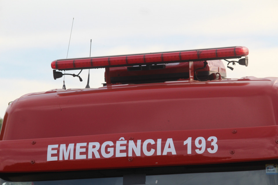 Jovem fica ferida ao separar briga de cachorros no Meio-Oeste de SC