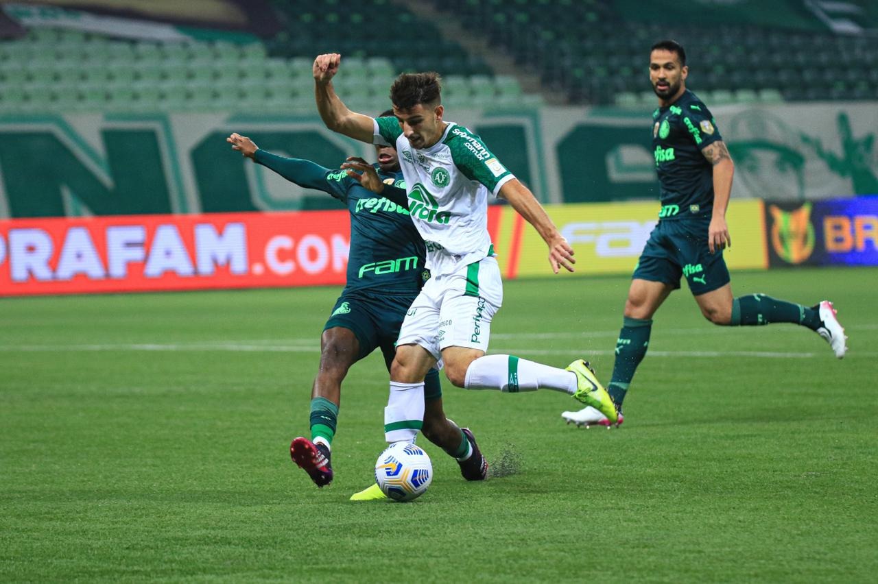 Амазонас шапекоэнсе. Chapecoense.