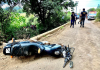 Motociclista morre ao bater em ponte e cair dentro de rio.