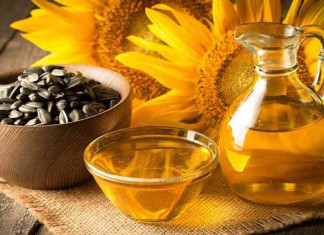 Guerra Ucrânia x Rússia: conflito entre países considerados o “Celeiro da Europa” pode gerar grave crise no fornecimento de alimentos