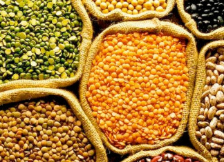 PIB do Agro cresceu 8,36% em 2021; prova de conhecimentos técnicos é vista com bons olhos pelo Conselho Federal de Médica Veterinária