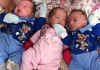 Amor em dose tripla! Conheça a história dos primeiros trigêmeos que nasceram em hospital de Chapecó
