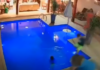 Vídeo: Menino pula na piscina para salvar irmão de três anos