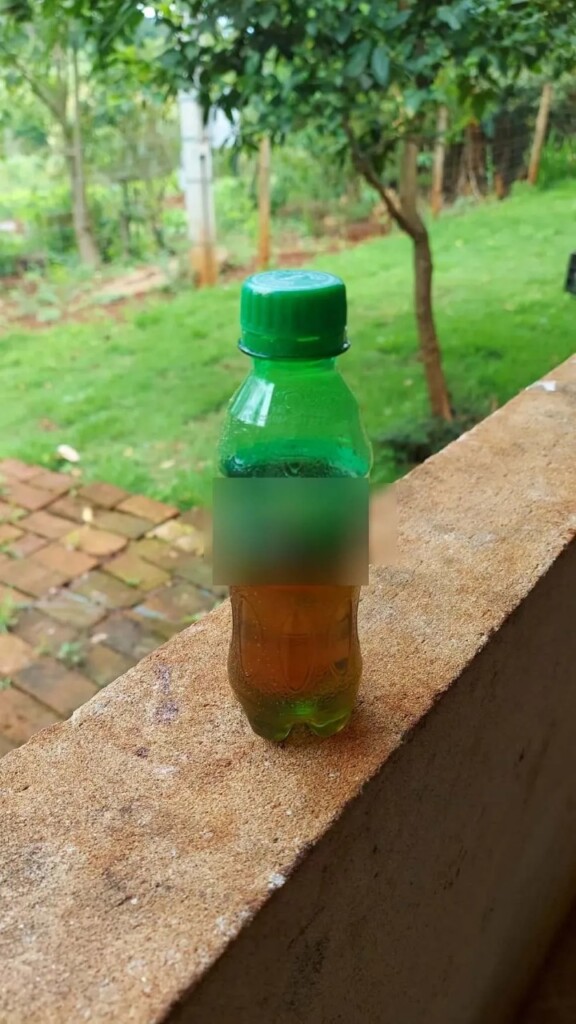 Veneno em garrafa de refrigerante