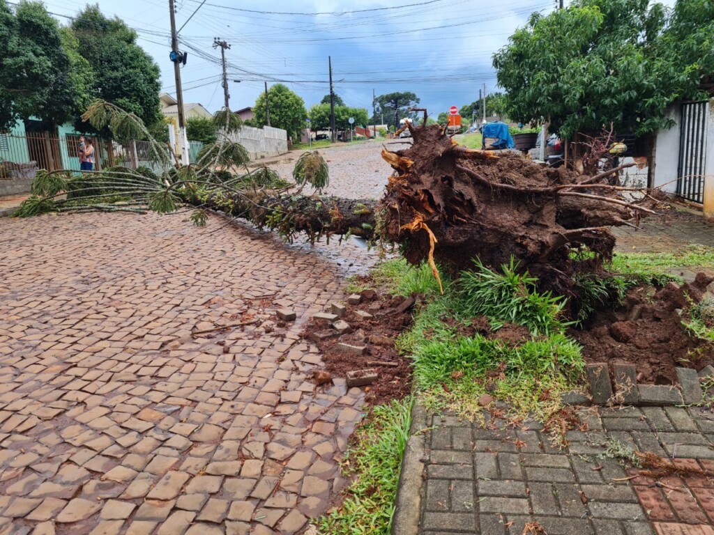 Tempestade atinge municípios do Oeste de SC e deixa estragos