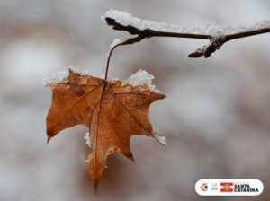 Clima esperado para os meses de maio, junho e julho de 2023: previsão e riscos associados