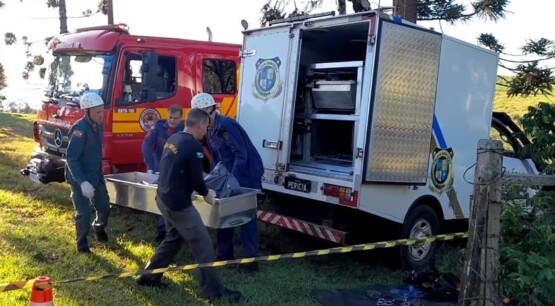 Homem morre eletrocutado durante colheita de pinhão