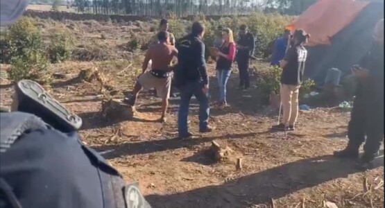 Operação resgata nove trabalhadores de condições análogas à escravidão em atividade de extração florestal 
