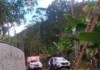 Homem morre após ser atingido por árvore em Santa Catarina