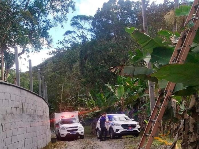 Homem morre após ser atingido por árvore em Santa Catarina