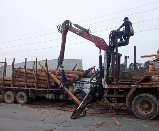 Caminhoneiro morre após toras de madeira atingirem cabine de caminhão 