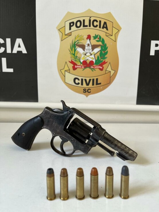 Durante investigação de tentativa de homicídio, polícia apreende arma de fogo e munições