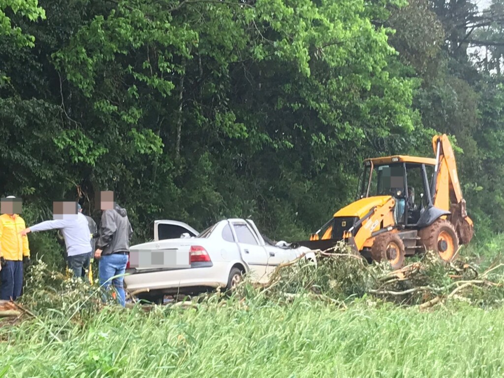 Homem morre após carro ser atingido por árvore no Oeste de Santa Catarina