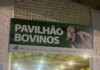 Bovinos chegam para a exposição na Efapi 2023