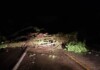 Árvore de grande porte cai e bloqueia a BR-282