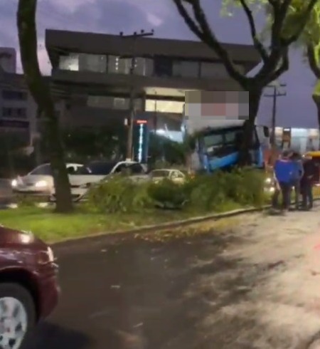 Caminhão colide em árvore em avenida movimentada de Chapecó