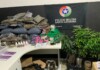 Quatro pessoas são detidas com grandes quantidades de drogas em SC