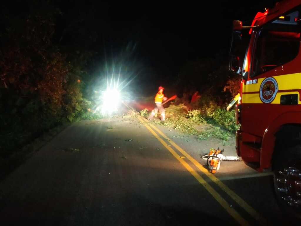 Deslizamento de terra e queda de árvore atingem rodovia no Oeste de Santa Catarina 
