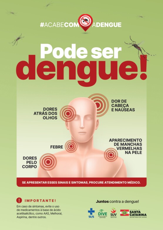 Dengue Em Santa Catarina Com A Chegada Do Verão Prevenção Precisa Ser Reforçada Clicrdc 8639