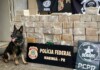 Polícia Federal em ação conjunta, apreende mais de 400 kg de cocaína