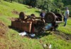 VÍDEO: Mulher morre em acidente com carreta agrícola entre Chapecó e Nova Itaberaba