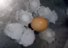 VÍDEO: Forte tempestade de granizo causa estragos em cidades do RS; ASSISTA: