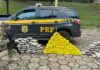 VÍDEO: PRF apreende quase 200 quilos de drogas e recupera veículo roubado na BR-282