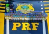 VÍDEO: PRF Flagra na BR-282 em Chapecó médica transportando mais de 50 frascos de anabolizantes oriundos do Paraguai