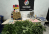 Polícia desarticula estrutura do tráfico e apreende mais de 60 kg de entorpecentes
