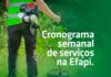 Superintendência da Efapi divulga cronograma de atividades