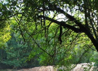 Tromba D’água arrasta três pessoas por 200 metros em município do Oeste