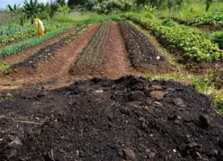 CMN amplia socorro a produtores afetados pelo clima