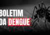 Dengue SC: Saúde registra mais de 62 mil focos do mosquito Aedes aegypti até início de dezembro