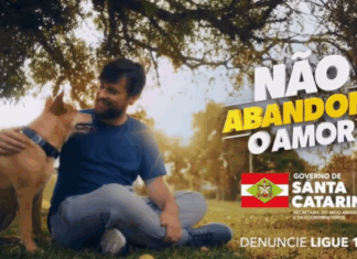 VÍDEO: Governo de Santa Catarina lança campanha contra abandono e maus-tratos de animais