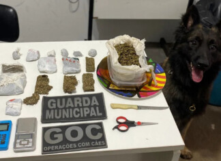 Suspeito é preso por tráfico de drogas em Chapecó pela GM