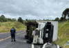 Caminhoneiro de Chapecó morre em acidente grave na BR-282