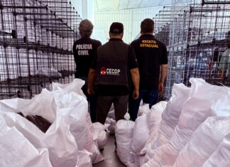 Polícia Civil apreende R$1,5 milhão em roupas falsificadas durante Operação Dupla Face em SC