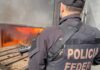Mais de 500 kg de entorpecentes são destruídos pela Polícia Federal em SC