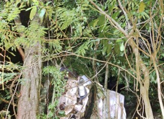 Motorista fica gravemente ferido após carro cair em ribanceira de 40 metros no Oeste de SC