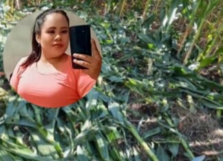 Mulher que morreu após ser encontrada ferida em lavoura de milho é identificada no Oeste de SC