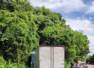 Motorista fica ferido após caminhão sair da pista na BR-282