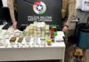 Traficante é preso com mais de 35 torrões de maconha em ação da PM em Chapecó