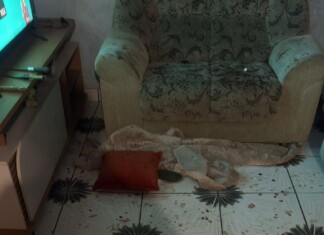 Tentativa de homicídio e violência doméstica deixa gestante ferida no Oeste de SC