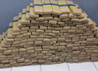 Fuga em rodovia termina com apreensão de 252 quilos de maconha em Santa Catarina