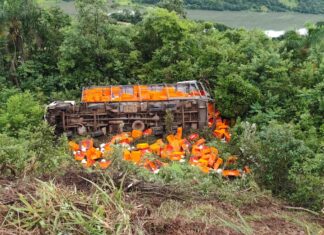 VÍDEO: Caminhão carregado com frango sai da pista após mal súbito na SC-480, em Chapecó