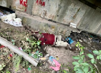 Corpo em avançado estado de decomposição é encontrado sob ponte