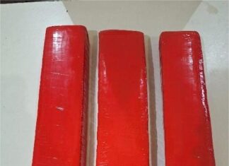 Cão farejador localiza mochila com droga durante rondas em SC